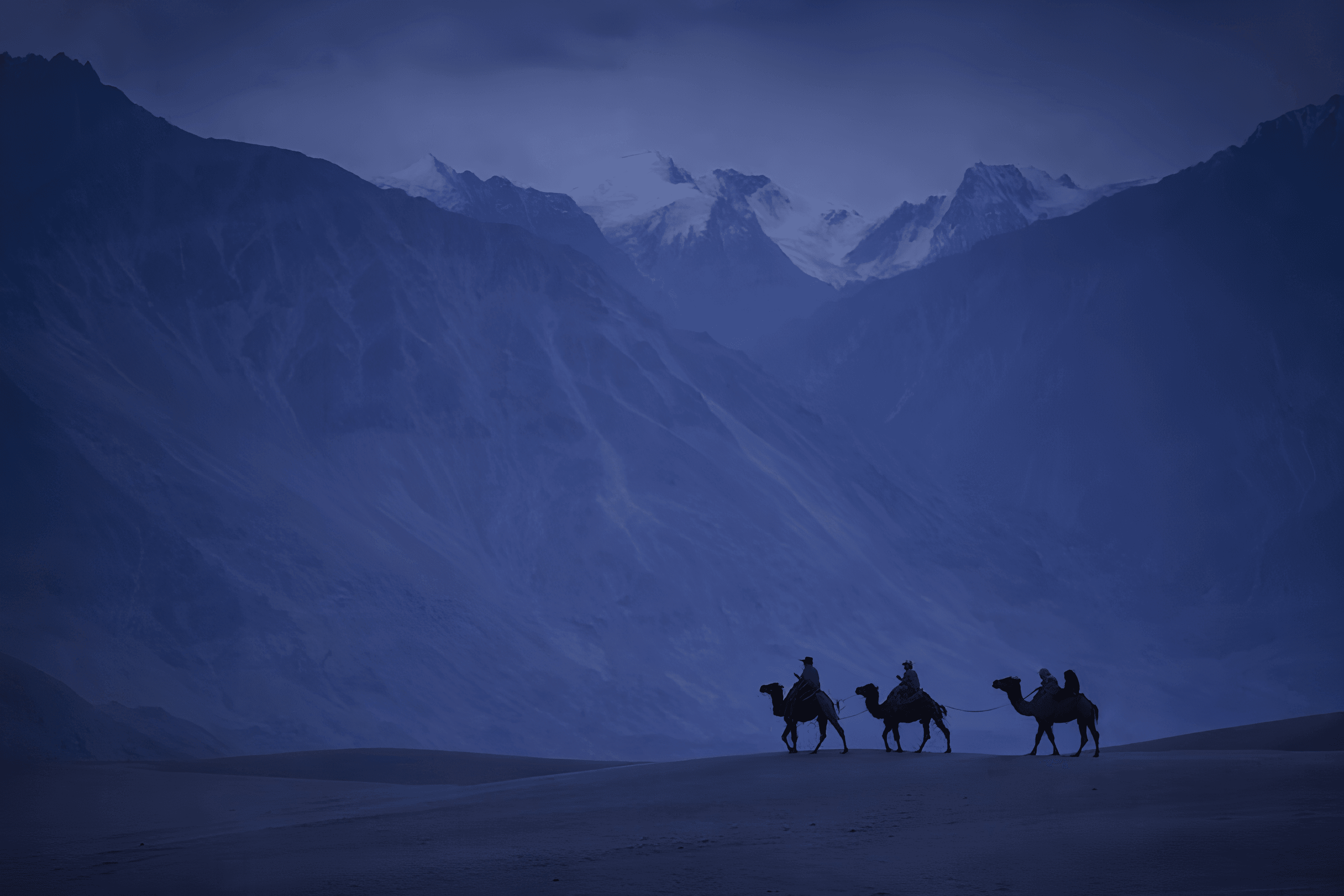 Nubra camels